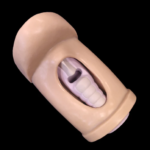 CRIC IN A BOX Cricothyrotomy Trainer