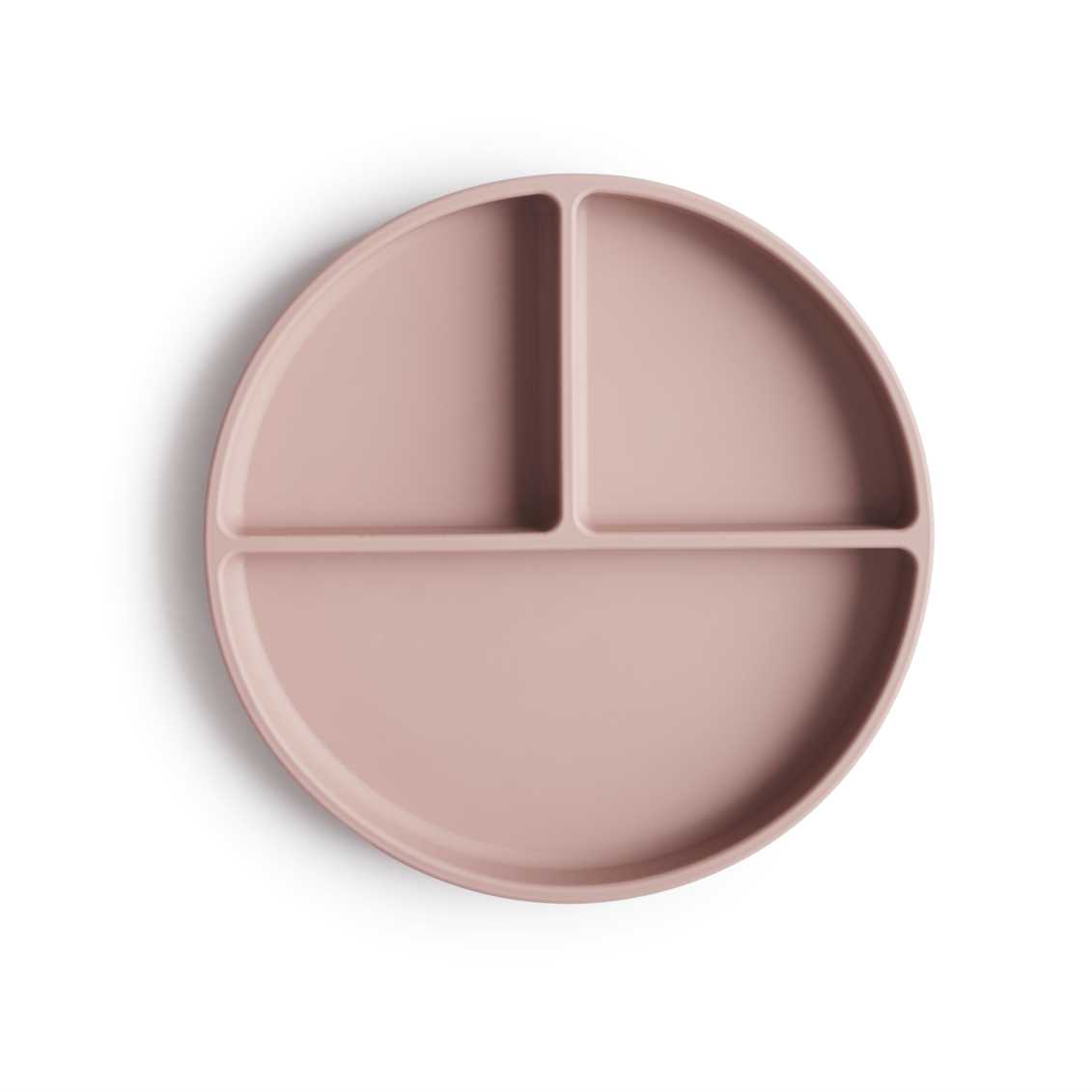 3-Silicone-plate-cloudy-BLUSH2