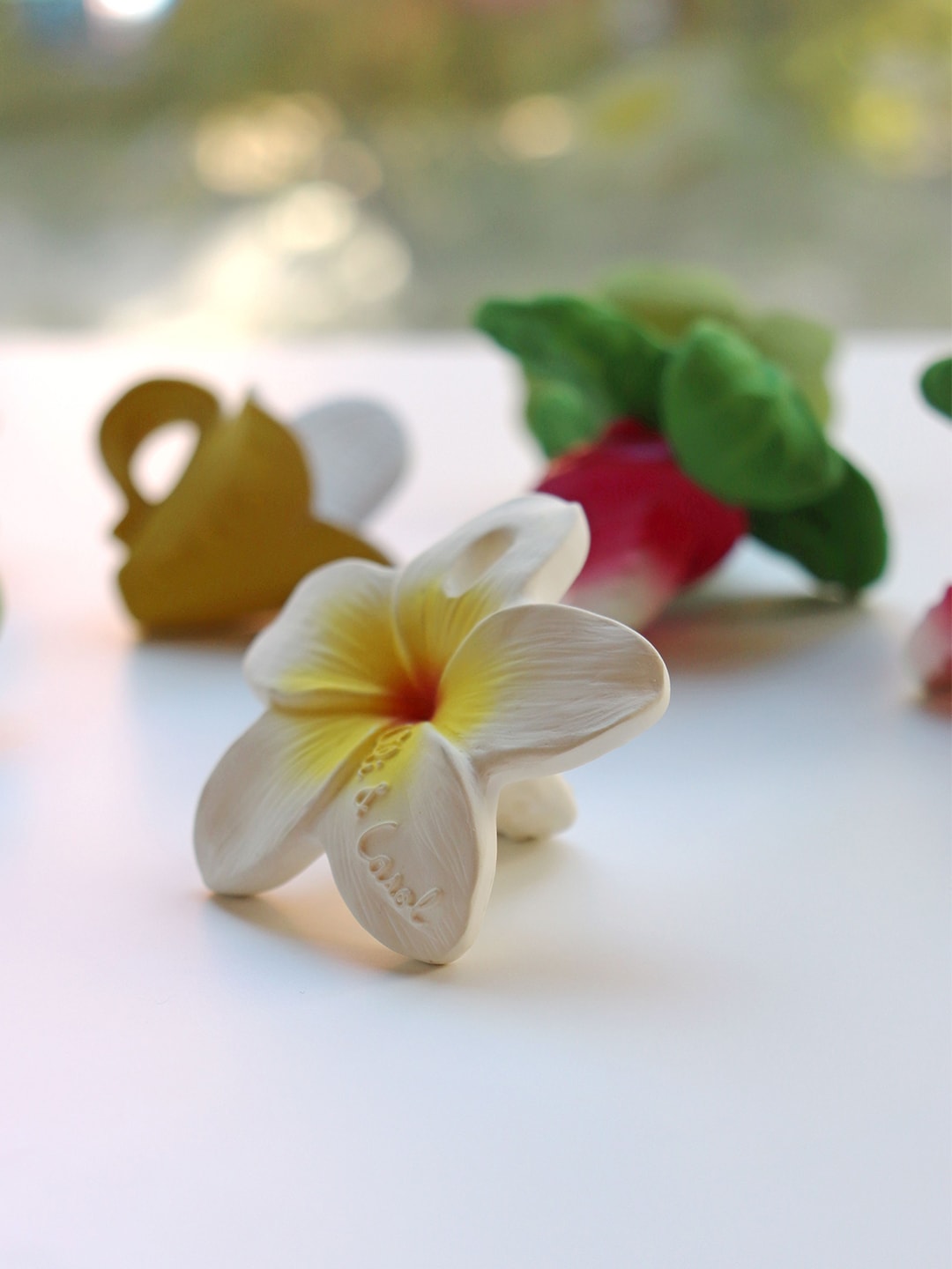 OliCarol-Chewy-to-Go-kramtukas-Hwaii-Flower