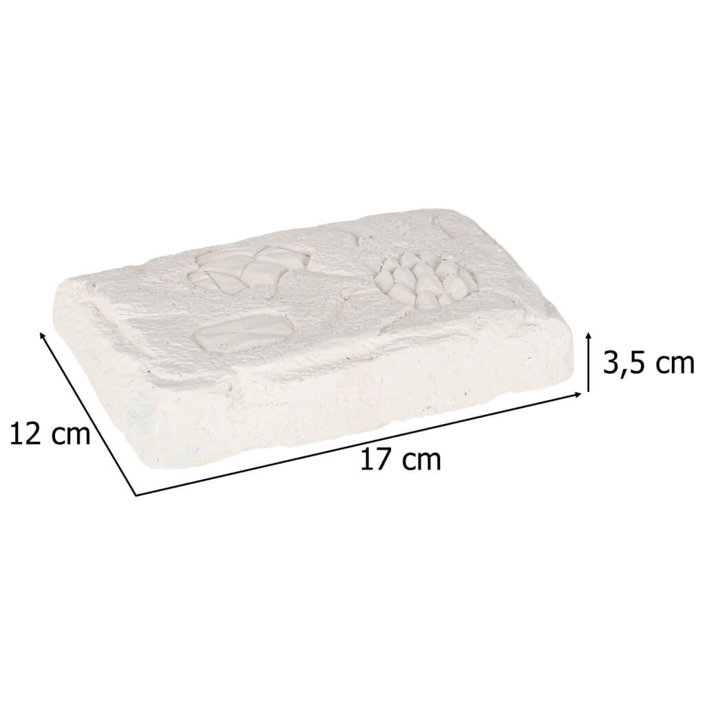 akmenu-kasinejimo-archeologinis-rinkinys-9