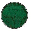 CARNOVSKY,  LUCY BROWNRIDGE Illuminasaurus: nušviesti dinozaurai