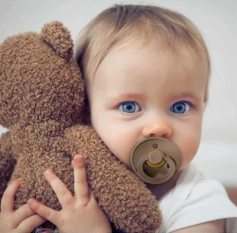 bibs-bear