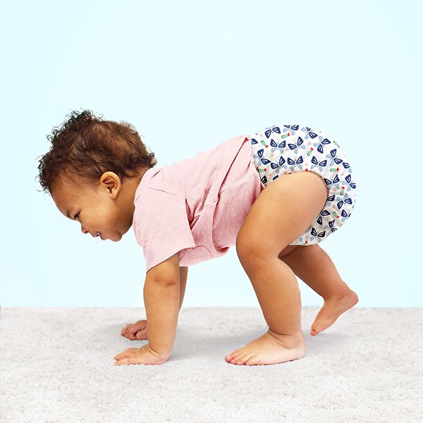 bugs-life-product-lifestyle-butterfly-crawling-web