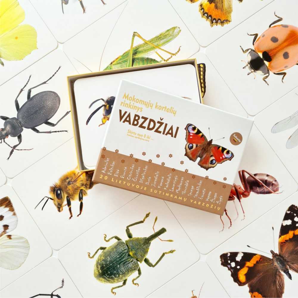 korteles-vaikams-vabzdziai2-1000×1000