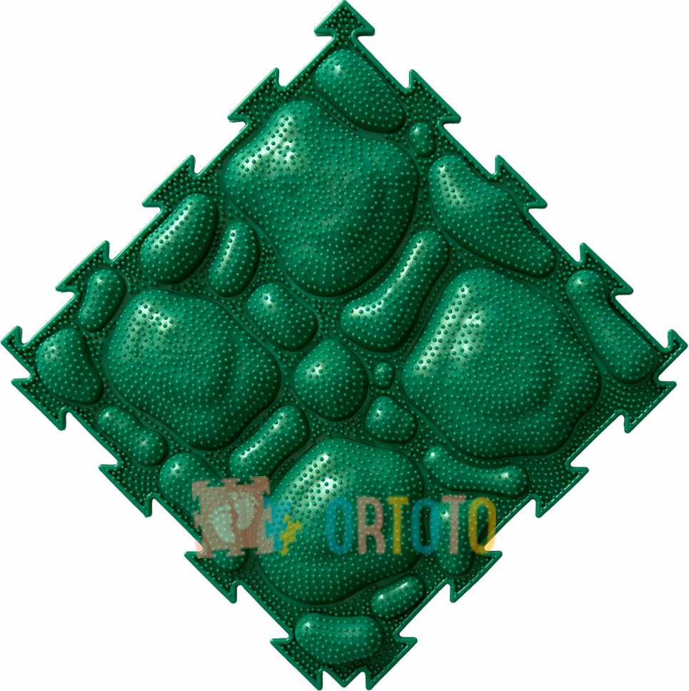 ortoto-ms
