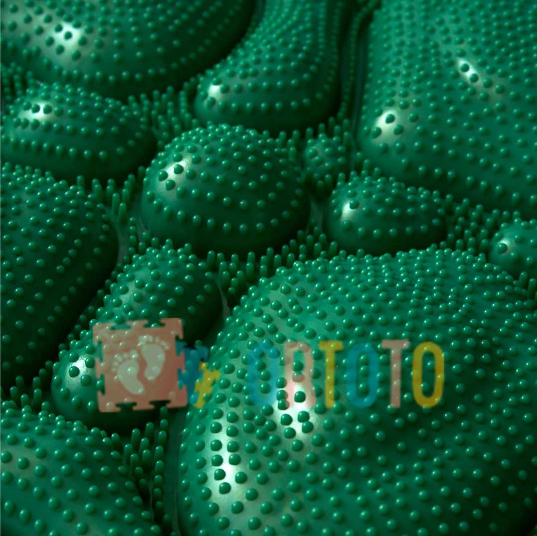 ortoto-ms1
