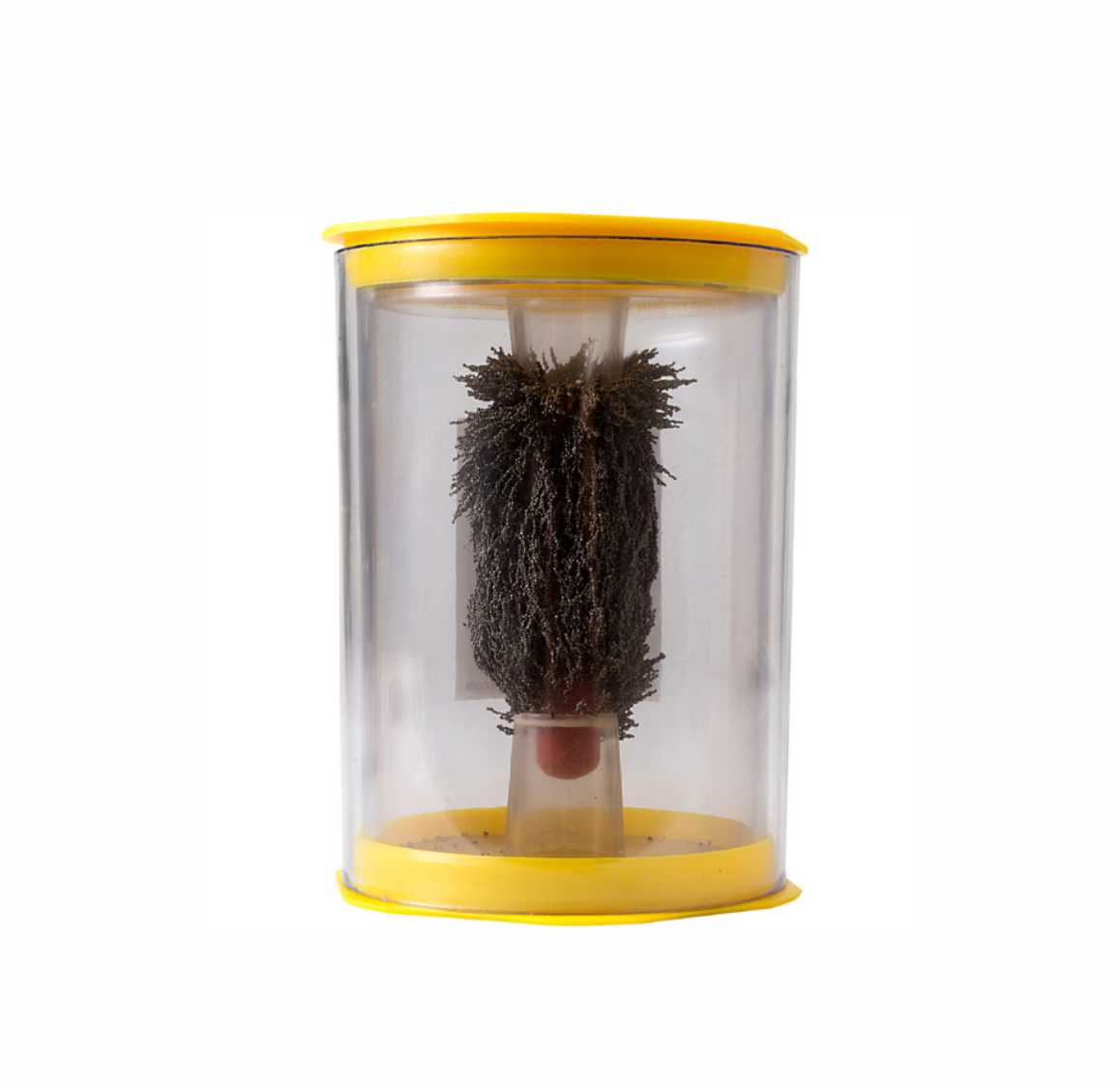 shaw-magnets-magnetines-drozles-plastiko-cilindre